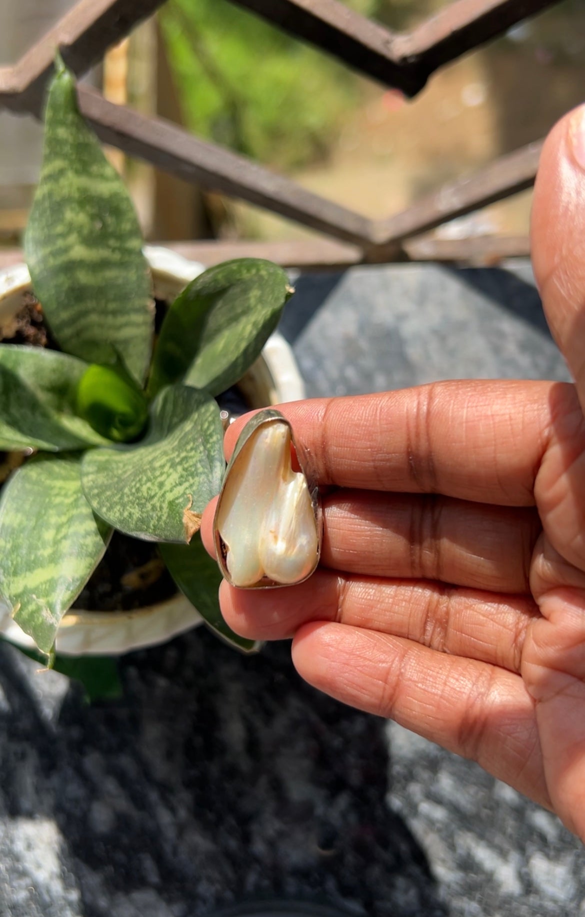 White natural stone ring